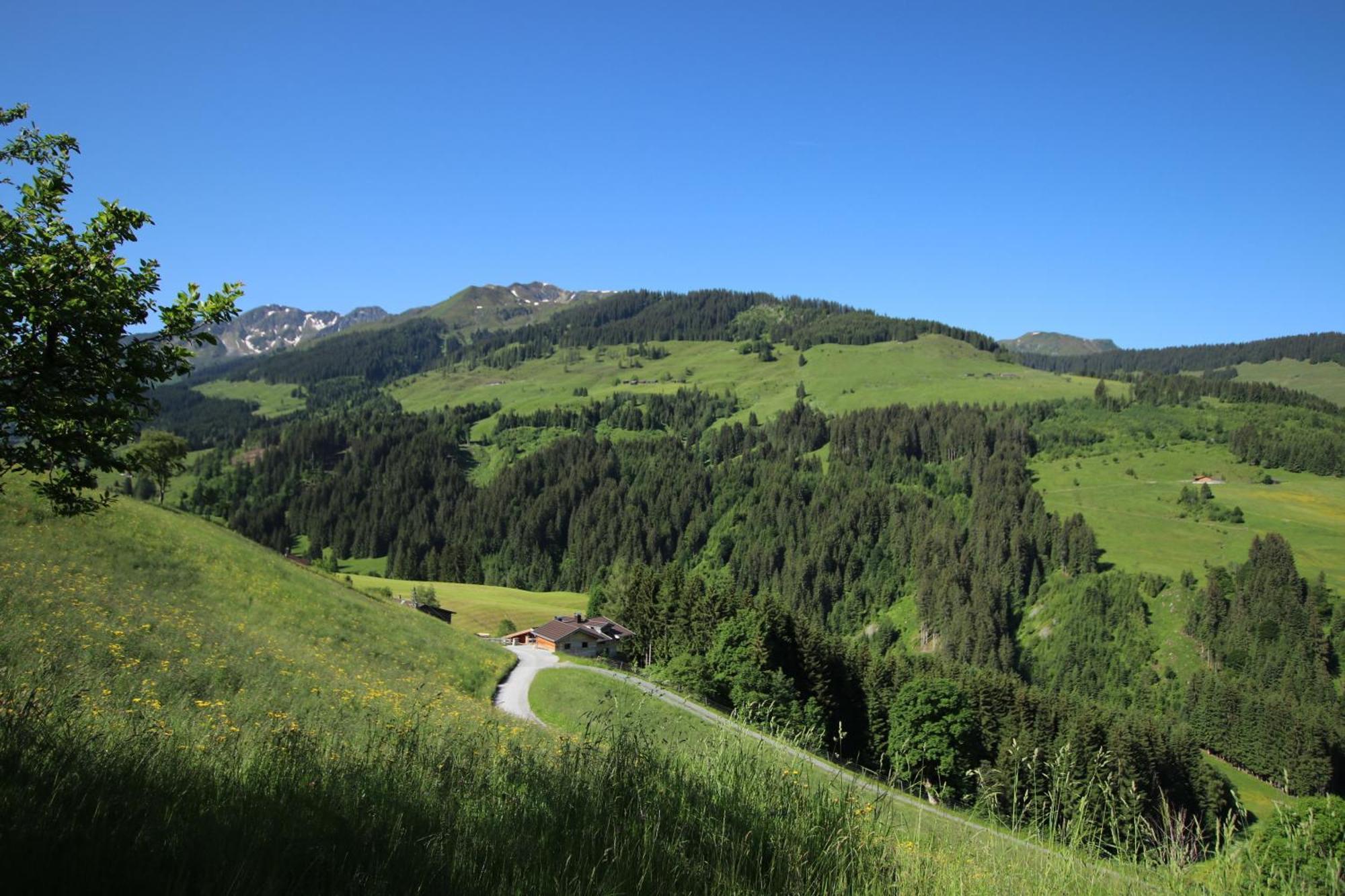 Ferienwohnung Bergpanorama WILD-600 Schwarzenau  Exterior foto